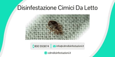 trattamento cimici da letto