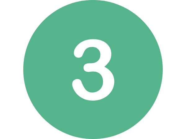 step 3 servizio di disinfestazione
