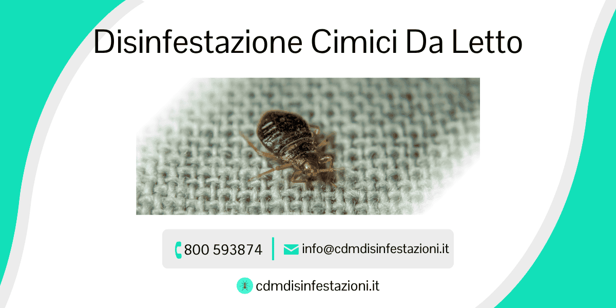 trattamento cimici da letto